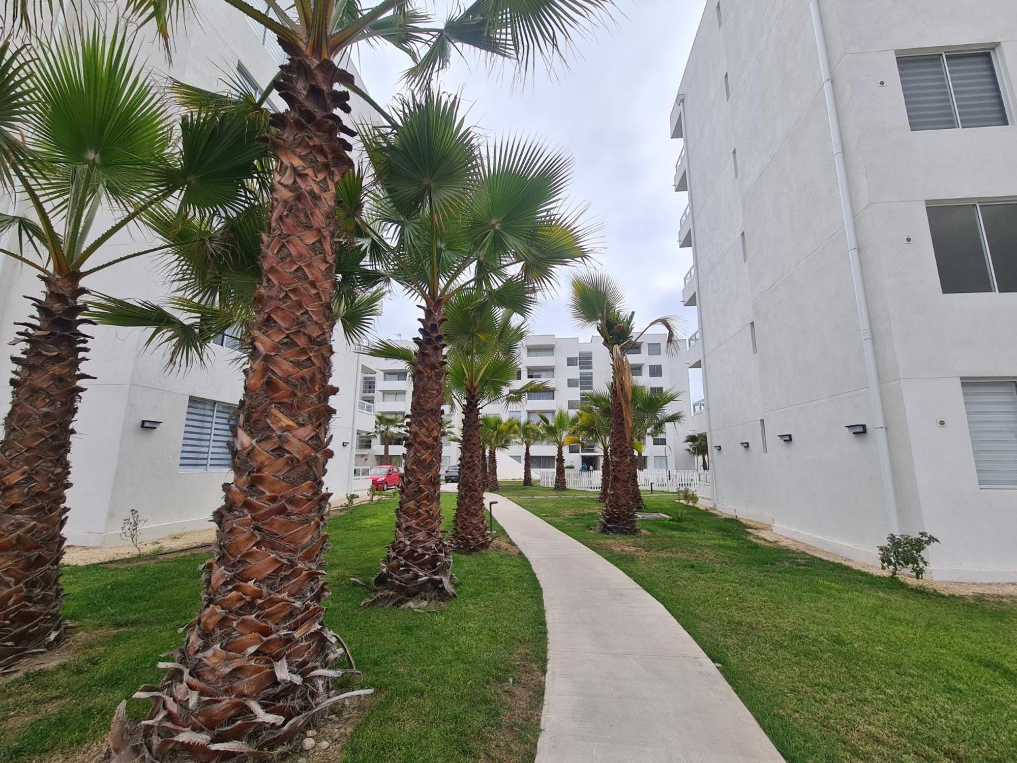 Apartamento Departamento En Serena